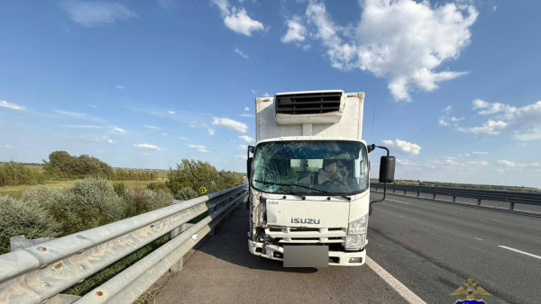 Два велосипедиста погибли в ДТП на Кировском мосту под Самарой