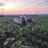 Смертельное ДТП под Самарой: автомобиль Лада Калина вылетел в кювет на трассе Усолье – Тайдаково