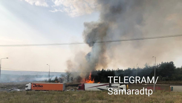 Срочно: В Тольятти лесной пожар