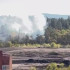 В Тольятти 25 сентября загорелся лесной массив