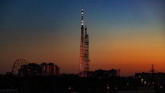 В тигриный цвет окрасится самарская телебашня с 26 июля по 1 августа