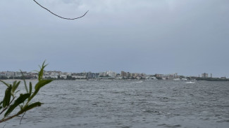 Угроза с юго-запада: неделя в Самаре начнётся с порывистых перемен