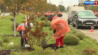 Сотрудники одной из ведущих фармацевтических компаний приняли участие в благоустройстве Аллеи здоровья 