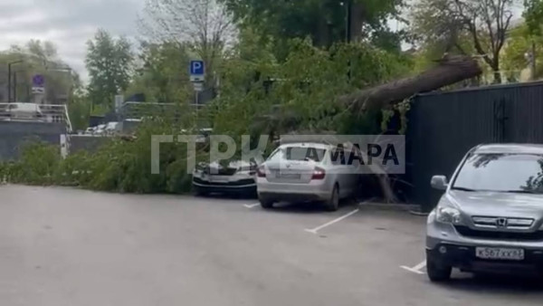 В Самаре УК и районная администрация не могут поделить дерево, раздавившее два автомобиля