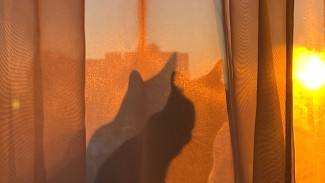 В Самаре резко потеплеет до +1 градуса и пойдет снег с дождем