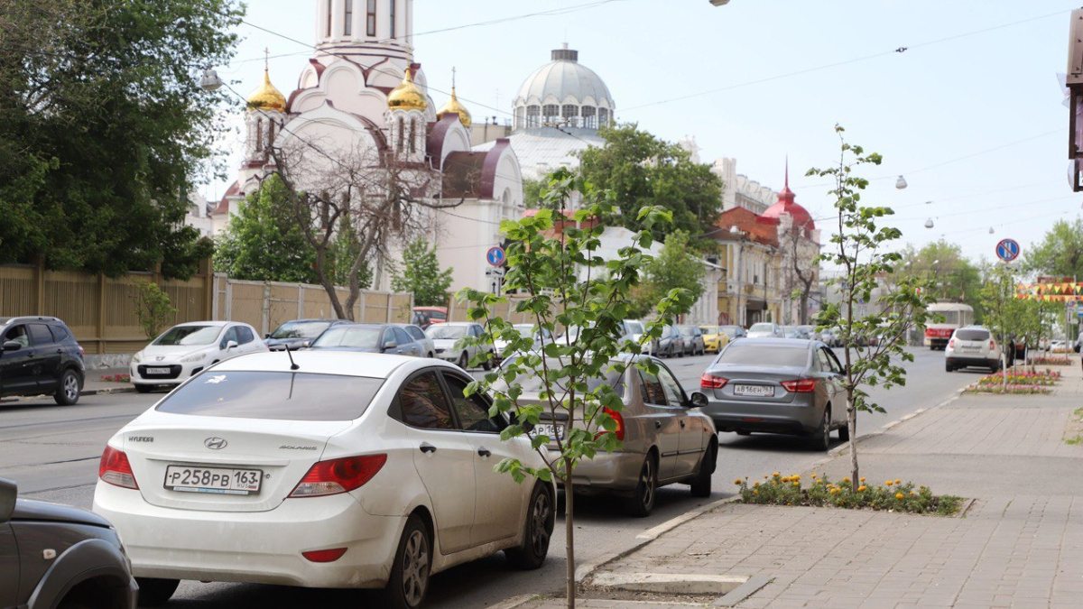 Мэрия Самары показала выкопанные на улице Куйбышева каштаны и липы –  Новости Самары и Самарской области – ГТРК Самара