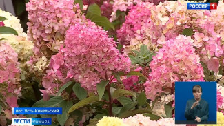 Вера Глухова представила разнообразие цветов на агровыставке