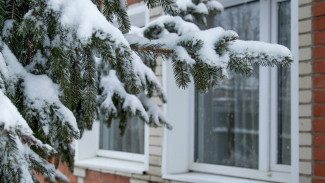 Народные приметы: 13 марта. Что нужно делать на Василия Капельника, чтобы избежать тяжкой хвори