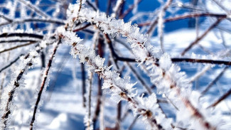 16 февраля станет сложным и опасным днем в Самарской области 