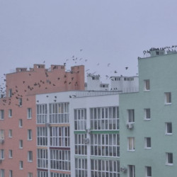 В выходные, 20 и 21 декабря, в Самарской области будет морозно и скользко