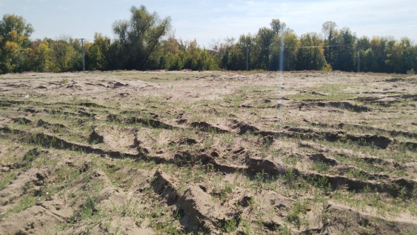 На Волге близ Самары 28 июля загорелся остров