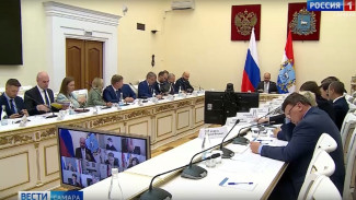 В Правительстве Самарской области обсудили реализацию программы социально-экономического развития региона