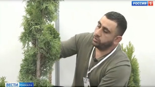 Самарцам рассказали, как превратить хвойные деревья в скульптуры 