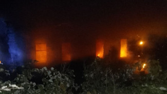 2 октября в Самарской области при пожаре погиб человек