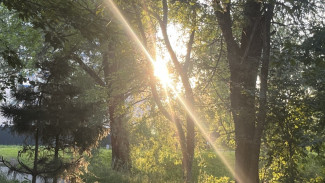 Самарцев предупредили о пекле до +31 °C во вторник 21 июля 