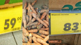 В Самаре резко подорожала морковь на 40 процентов