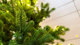 Названы точные адреса, где в Самаре будут работать 140 елочных базаров