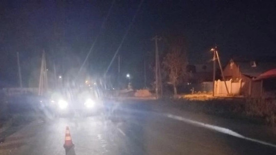 Полиция рассказала, кого насмерть сбила Lada Kalina под Самарой