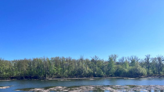 Появились кадры уничтожения вандалами качелей на «Мысе Красоты» под Самарой