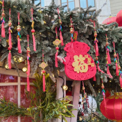 Что нельзя и можно делать в Китайский Новый Год 2026: советы на год Красной Огненной Лошади 