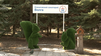 В Самаре элитные коттеджи на просеке стали незаконными из-за реестровой ошибки