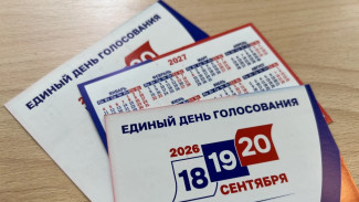 В Самарской области назвали процент явки избирателей на 15:00 19 сентября