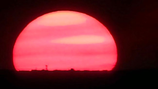 Гороскоп на 19 августа: эти 4 знака окажутся под влиянием «Осетровой Луны»