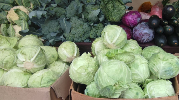 Судьба рынка «Солнечный» в Самаре решается в суде с 2021 года, снос отложен