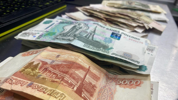 Жительница Самарской области четыре года получала выплаты на умершего ребёнка