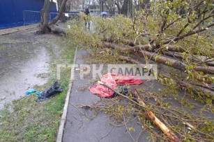 Появились кадры с места гибели девочки под деревом в Самаре 27 апреля