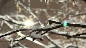 Синоптики спрогнозировали возвращение в Самарскую область потепления до +1ºС