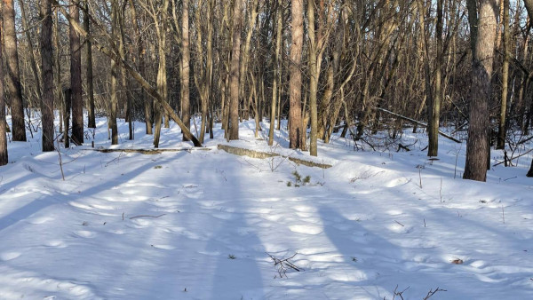 Кассация согласилась с решением вернуть государству самарский лагерь "Кировец"