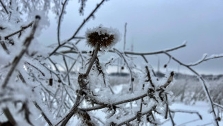 30 ноября — День Григория Зимоуказателя: почему в этот день нельзя лениться