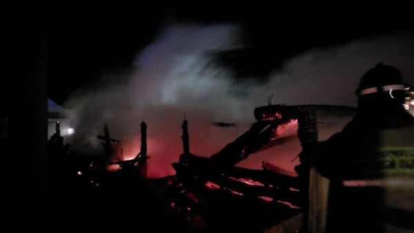 В Самарской области в ночь на 12 декабря в крупном пожаре погибли животные 