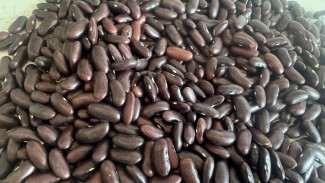 В Самарской области остановили ввоз опасных продуктов