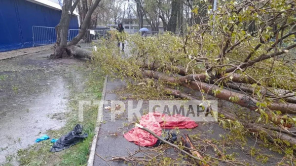 Появились кадры с места гибели девочки под деревом в Самаре 27 апреля