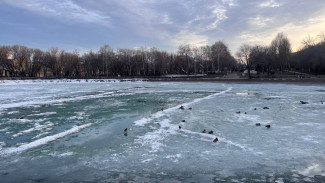 В начале апреля в Самаре ожидается жара до рекордных +21°
