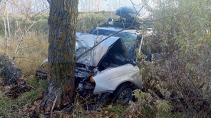 На трассе Тольятти – Ташелка Lada Priora улетела в кювет и врезалась в дерево 29 октября