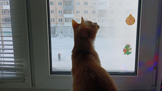 Самарская область во время потепления упадет в барическую пропасть