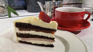 Роспотребнадзора ко Дню десерта рассказал самарцам, как не отравиться тирамису и мороженым