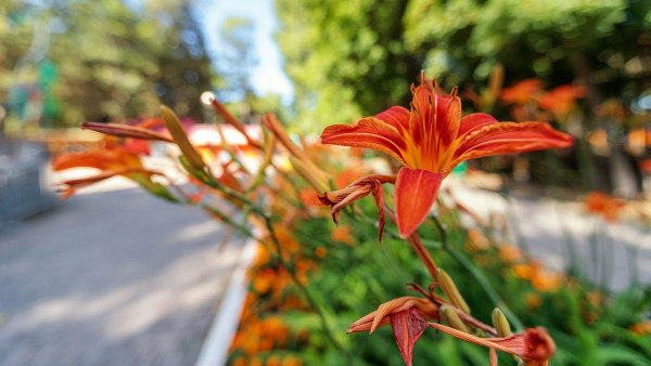 В Самаре потеплеет до +27°C