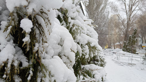 Гороскоп на 29 марта: астрологи назвали 5 знаков зодиака, которых ждет финансовый успех