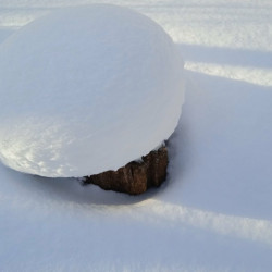 Циклон с Атлантики несет в Самарскую область сильные снегопады и оттепель до -1°C