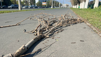 Спасатели просят самарцев не выходить из дома 11 мая
