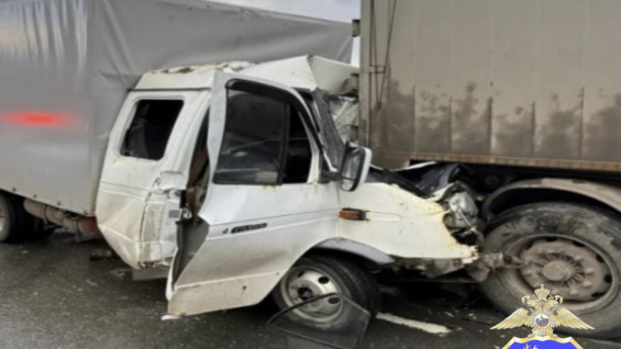 В Самарском МВД сообщили о пострадавших в массовом ДТП на трассе