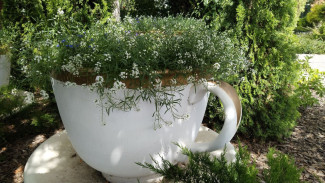 Гороскоп на 1 июля 2024. Этим 6 знакам звезды помогут изменить жизнь к лучшему