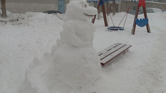Появились кадры массовой лепки снеговиков в Самаре