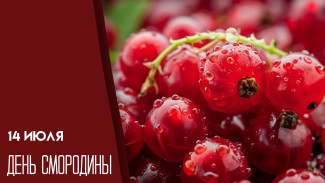 14 июля — День смородины: расскажем о полезных свойствах любимой ягоды
