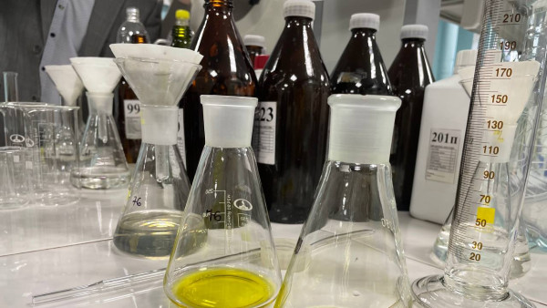 В селе Курумоч Самарской области введен карантин из-за опасной инфекции