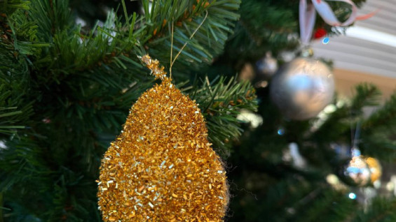 Музеи Самары откроют свои двери для бесплатного новогоднего марафона